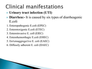  Urinary tract infection (UTI)
 Diarrhea:- It is caused by six types of diarrheagenic
E.coli
1. Enteropathogenic E.coli (EPEC)
2. Enterotoxigenic E.coli (ETEC)
3. Enteroinvasive E. coll (EIEC)
4. Enterohemorrhagic E.coli (EHEC)
5. En1eroaggrega1ive E. coli (EAEC)
6. Diffusely adherent E. coli (DAEC)
 