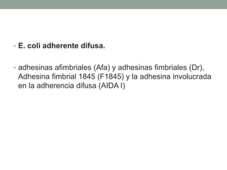 • E. coli adherente difusa.
• adhesinas afimbriales (Afa) y adhesinas fimbriales (Dr),
Adhesina fimbrial 1845 (F1845) y la adhesina involucrada
en la adherencia difusa (AIDA I)
 