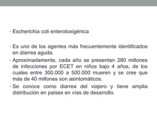 • Escherichia coli enterotoxigénica
• Es uno de los agentes más frecuentemente identificados
en diarrea aguda.
• Aproximadamente, cada año se presentan 280 millones
de infecciones por ECET en niños bajo 4 años, de los
cuales entre 300.000 a 500.000 mueren y se cree que
más de 40 millones son asintomáticos.
• Se conoce como diarrea del viajero y tiene amplia
distribución en países en vías de desarrollo.
 