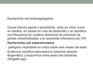 • Escherichia coli enteroagregativa
• Causa diarrea aguda o persistente, tanto en niños como
en adultos, en países en vías de desarrollo y se identifica
con frecuencia en cuadros diarreicos de personas de
países industrializados y en pacientes infectados por VIH
• Escherichia coli enteroinvasora
• patógeno importante en niños sobre seis meses de edad
• Evidencia científica demuestra la estrecha relación
filogenética y bioquímica entre estas dos bacterias
(Shigella spp)
 