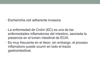 • Escherichia coli adherente invasora
• La enfermedad de Crohn (EC) es una de las
enfermedades inflamatorias del intestino, asociada la
presencia en el lumen intestinal de ECAI.
• Es muy frecuente en el íleon; sin embargo, el proceso
inflamatorio puede ocurrir en todo el tracto
gastrointestinal.
 