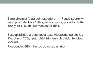 • Supervivencia fuera del hospedero: Puede sobrevivir
en el polvo de 4 a 27 días; en las heces, por más de 84
días y en el suelo por mas de 84 días.
• Susceptibilidad a desinfectantes: Hipoclorito de sodio al
1%; etanol 70%; glutaraldehído; formaldehído; fenoles;
yoduros.
• Frecuencia: 650 millones de casos al año
 
