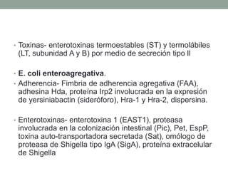 • Toxinas- enterotoxinas termoestables (ST) y termolábiles
(LT, subunidad A y B) por medio de secreción tipo ll
• E. coli enteroagregativa.
• Adherencia- Fimbria de adherencia agregativa (FAA),
adhesina Hda, proteína Irp2 involucrada en la expresión
de yersiniabactin (sideróforo), Hra-1 y Hra-2, dispersina.
• Enterotoxinas- enterotoxina 1 (EAST1), proteasa
involucrada en la colonización intestinal (Pic), Pet, EspP,
toxina auto-transportadora secretada (Sat), omólogo de
proteasa de Shigella tipo IgA (SigA), proteína extracelular
de Shigella
 
