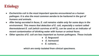 Etiology
● Escherichia coli is the most important species encountered as a human
pathogen. It is also the most common aerobe to be harbored in the gut of
humans and animals.
● After being excreted in feces, E. coli remains viable only for some days in the
environment. This means that detection of E. coli, especially a variant called
thermotolerant E. coli (which survives at 44°C), can be used as an indicator of
recent contamination of drinking water with human or animal feces.
● Other species of E. coli are less important as human pathogens. These include
● E. fergusonii
● E. hermannii
● E. vulneris….
which are rarely isolated from clinical specimens.
 