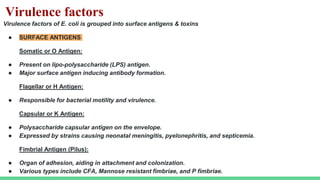 Virulence factors
Virulence factors of E. coli is grouped into surface antigens & toxins
● SURFACE ANTIGENS
Somatic or O Antigen:
● Present on lipo-polysaccharide (LPS) antigen.
● Major surface antigen inducing antibody formation.
Flagellar or H Antigen:
● Responsible for bacterial motility and virulence.
Capsular or K Antigen:
● Polysaccharide capsular antigen on the envelope.
● Expressed by strains causing neonatal meningitis, pyelonephritis, and septicemia.
Fimbrial Antigen (Pilus):
● Organ of adhesion, aiding in attachment and colonization.
● Various types include CFA, Mannose resistant fimbriae, and P fimbriae.
 