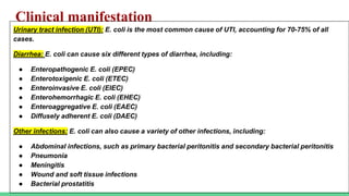 Clinical manifestation
Urinary tract infection (UTI): E. coli is the most common cause of UTI, accounting for 70-75% of all
cases.
Diarrhea: E. coli can cause six different types of diarrhea, including:
● Enteropathogenic E. coli (EPEC)
● Enterotoxigenic E. coli (ETEC)
● Enteroinvasive E. coli (EIEC)
● Enterohemorrhagic E. coli (EHEC)
● Enteroaggregative E. coli (EAEC)
● Diffusely adherent E. coli (DAEC)
Other infections: E. coli can also cause a variety of other infections, including:
● Abdominal infections, such as primary bacterial peritonitis and secondary bacterial peritonitis
● Pneumonia
● Meningitis
● Wound and soft tissue infections
● Bacterial prostatitis
 