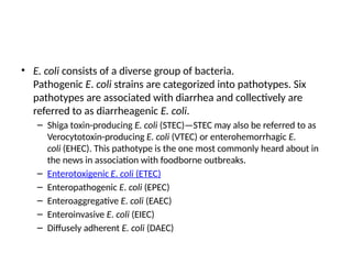 Notes about Escherichia coli from Bacteriology BSC MLT | PPTX
