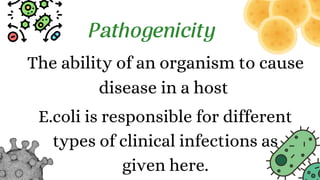 Pathogenicity
E.coli is responsible for different
types of clinical infections as
given here.
The ability of an organism to cause
disease in a host
 