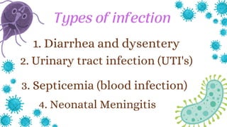 1. Diarrhea and dysentery
2. Urinary tract infection (UTI's)
3. Septicemia (blood infection)
4. Neonatal Meningitis
Types of infection
 
