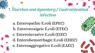a. Enteropathic E.coli (EPEC)
b. Enterotoxigeic E.coli (ETEC)
c. Enteroinvasive E.coli (EIEC)
d. Enterohemorrhagic E.coli (EHEC)
e. Enteroaggregative E.coli (EAEC)
1. Diarrhea and dysentery / Gastrointestinal
infection
 