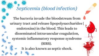 The bacteria invade the bloodstream from
urinary tract and release lipopolysaccharides (
endotoxins) in the blood. This leads to
disseminated intravascular coagulation,
systemic inflammatory response syndrome
(SIRS).
It is also known as septic shock.
Septicemia (blood infection)
 