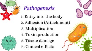 1. Entry into the body
2. Adhesion (Attachment)
3. Multiplication
4. Toxin production
5. Tissue damage
6. Clinical effects
Pathogenesis
 
