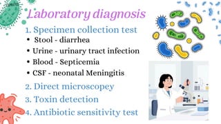 1. Specimen collection test
Stool - diarrhea
Urine - urinary tract infection
Blood - Septicemia
CSF - neonatal Meningitis
Laboratory diagnosis
2. Direct microscopey
3. Toxin detection
4. Antibiotic sensitivity test
 