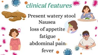 Present watery stool
Nausea
loss of appetite
fatigue
abdominal pain
fever
clinical features
 