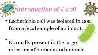 Introduction of E.coli
Escherichia coli was isolated in 1885
from a fecal sample of an infant.
Normally present in the large
intestine of humans and animals
 