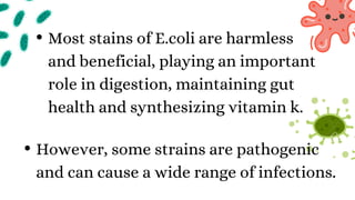 Most stains of E.coli are harmless
and beneficial, playing an important
role in digestion, maintaining gut
health and synthesizing vitamin k.
However, some strains are pathogenic
and can cause a wide range of infections.
 