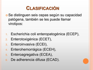 CLASIFICACIÓN
 Se distinguen seis cepas según su capacidad
patógena, también se les puede llamar
virotipos:
1. Escherichia coli enteropatogénica (ECEP),
2. Enterotoxigénica (ECET),
3. Enteroinvasiva (ECEI),
4. Enterohemorrágica (ECEH),
5. Enteroagregativa (ECEA),
6. De adherencia difusa (ECAD).
 