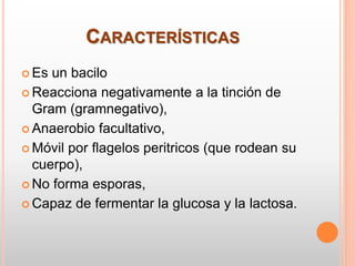 CARACTERÍSTICAS
 Es un bacilo
 Reacciona negativamente a la tinción de
Gram (gramnegativo),
 Anaerobio facultativo,
 Móvil por flagelos peritricos (que rodean su
cuerpo),
 No forma esporas,
 Capaz de fermentar la glucosa y la lactosa.
 
