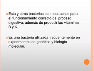 Esta y otras bacterias son necesarias para
el funcionamiento correcto del proceso
digestivo, además de producir las vitaminas
B y K.
 Es una bacteria utilizada frecuentemente en
experimentos de genética y biología
molecular.
 