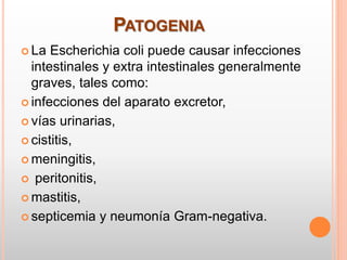 PATOGENIA
 La Escherichia coli puede causar infecciones
intestinales y extra intestinales generalmente
graves, tales como:
 infecciones del aparato excretor,
 vías urinarias,
 cistitis,
 meningitis,
 peritonitis,
 mastitis,
 septicemia y neumonía Gram-negativa.
 