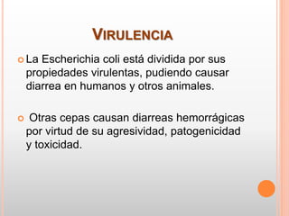 VIRULENCIA
 La Escherichia coli está dividida por sus
propiedades virulentas, pudiendo causar
diarrea en humanos y otros animales.
 Otras cepas causan diarreas hemorrágicas
por virtud de su agresividad, patogenicidad
y toxicidad.
 