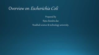 Overview on Escherichia Coli
Prepared by
Ripu chandra das
Noakhali science & technology university.
 