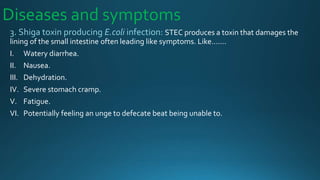 Diseases and symptoms
3. Shiga toxin producing E.coli infection: STEC produces a toxin that damages the
lining of the small intestine often leading like symptoms. Like…….
I. Watery diarrhea.
II. Nausea.
III. Dehydration.
IV. Severe stomach cramp.
V. Fatigue.
VI. Potentially feeling an unge to defecate beat being unable to.
 