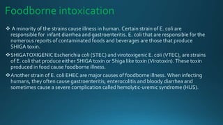 Foodborne intoxication
 A minority of the strains cause illness in human. Certain strain of E. coli are
responsible for infant diarrhea and gastroenteritis. E. coli that are responsible for the
numerous reports of contaminated foods and beverages are those that produce
SHIGA toxin.
SHIGATOXIGENIC Escherichia coli (STEC) and virotoxigenic E. coli (VTEC), are strains
of E. coli that produce either SHIGA toxin or Shiga like toxin (Virotoxin). These toxin
produced in food cause foodborne illness.
Another strain of E. coli EHEC are major causes of foodborne illness. When infecting
humans, they often cause gastroenteritis, enterocolitis and bloody diarrhea and
sometimes cause a severe complication called hemolytic-uremic syndrome (HUS).
 
