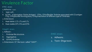 Virulence Factor
ETEC strain:
1.Adhesins: 2 types.
I. type 1 pili .
II. & CFA (Colonization Factor Antigen) : CFA1, CFA2(flexible fimbriae associated with CS antigen
CS3), CFA3(bundle forming pilus), CFA4(maturation of different type of fimbriae).
2. Enterotoxin:
I. Heat-labile ( LT): LT1 and LT2
II. Heat-stable (ST): STa and STb
EAggEC strain:
1. Adhesin :
I. Fimbriae like structure.
II. Aggregative.
III. GVVPQ fimbriae
2. Enterotoxin: ST like toxin called “ EAST”.
EHEC strain:
1. Adhesins .
2. Toxin: Shiga toxin.
 