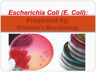 Escherichia Coli (E. Coli):
Presented by:
Khushbu’s Microbiology
 