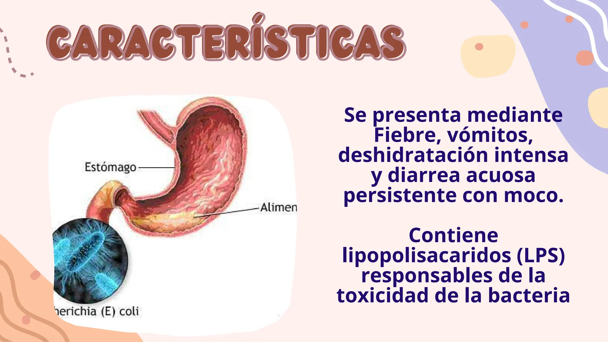 Escherichia Coli Enteropatogenia (EPEC).pdf