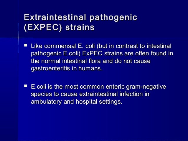 Escherichiosis