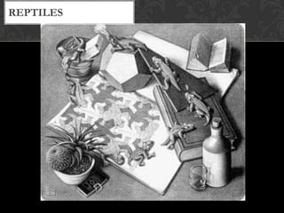 REPTILES
 