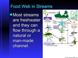 Food Web in Streams Most streams are freshwater and they can flow through a natural or man-made channel. 