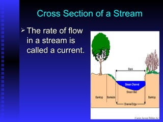 Cross Section of a Stream The rate of flow in a stream is called a current. 