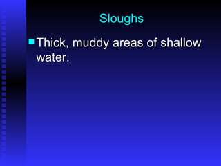 Sloughs Thick, muddy areas of shallow water. 