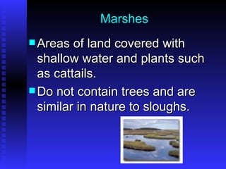 Marshes Areas of land covered with shallow water and plants such as cattails. Do not contain trees and are similar in nature to sloughs. 