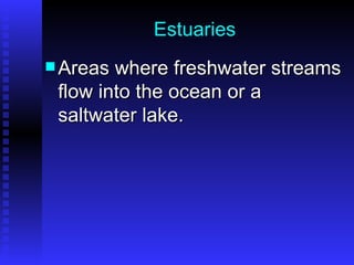 Estuaries Areas where freshwater streams flow into the ocean or a saltwater lake. 
