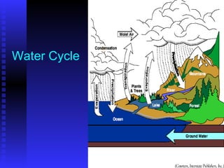 Water Cycle 
