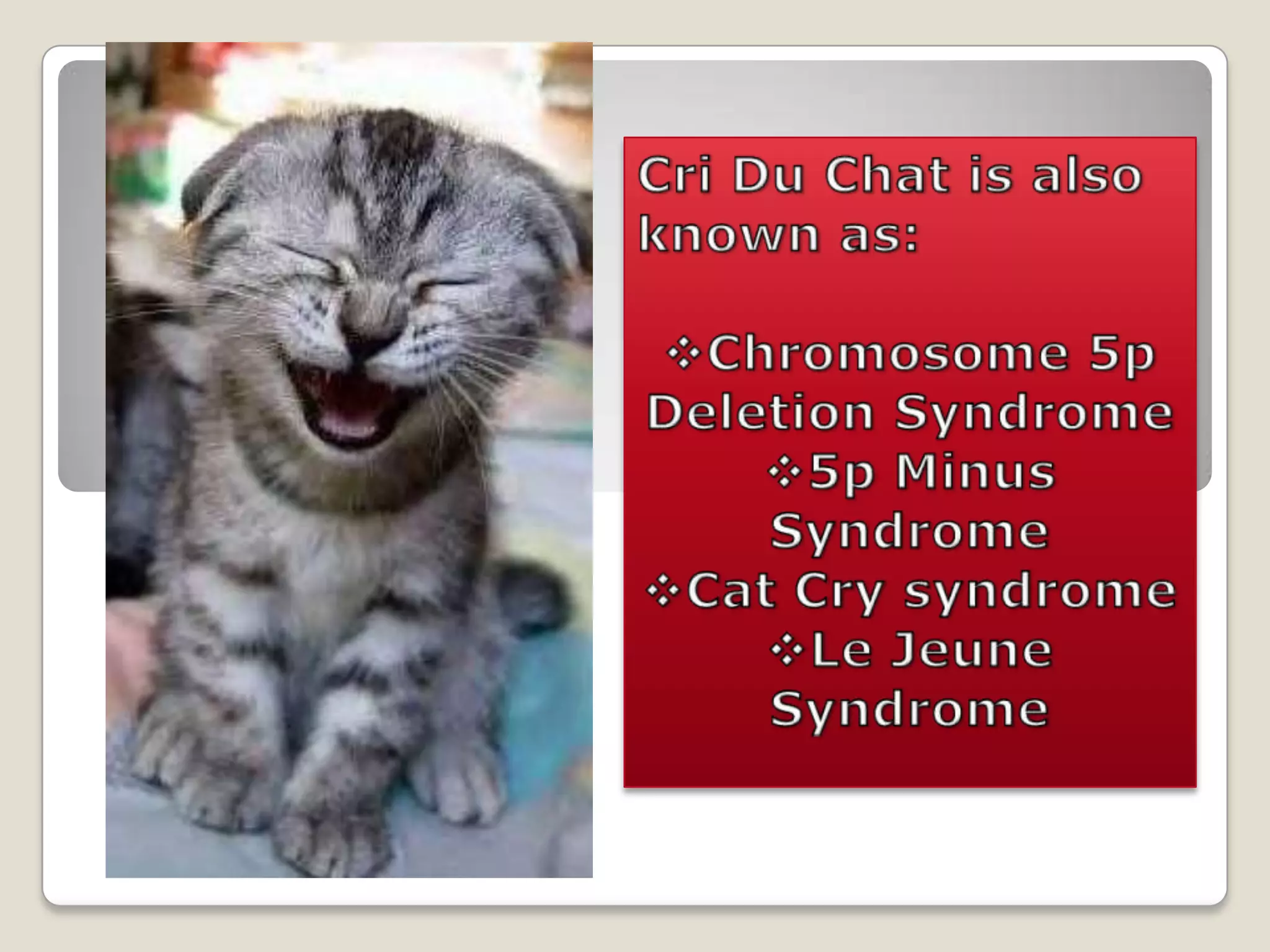 Cri Du Chat Syndrome