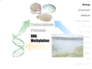 e
Biology
Environment
Molecular
Data Analysis

Transcriptome
Proteome
DNA
Methylation

eScience
iPlant Galaxy
Notebooks
Rationale
Platforms
Open Science
Data
everything else...

 