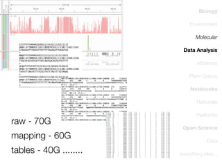 Biology
Environment
Molecular
Data Analysis
eScience
iPlant Galaxy
Notebooks
Rationale

raw - 70G
mapping - 60G
tables - 40G ........

Platforms
Open Science
Data
everything else...

 