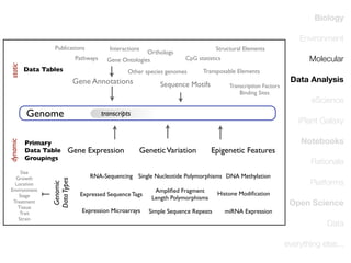 Biology
Environment
Publications

Interactions

static

Pathways

Data Tables

Gene Annotations

Size
Growth
Location
Environment
Stage
Treatment
Tissue
Trait
Strain

Molecular

CpG statistics
Transposable Elements

Sequence Motifs

Transcription Factors
Binding Sites

transcripts

Gene Expression

Genomic
Data Types

Primary
Data Table
Groupings

Structural Elements

Other species genomes

Genome
dynamic

Orthologs
Gene Ontologies

Data Analysis
eScience
iPlant Galaxy

Genetic Variation

Epigenetic Features

Notebooks
Rationale

RNA-Sequencing Single Nucleotide Polymorphisms DNA Methylation
Expressed Sequence Tags

Ampliﬁed Fragment
Length Polymorphisms

Expression Microarrays

Simple Sequence Repeats

Platforms

Histone Modiﬁcation

Open Science
miRNA Expression

Data
everything else...

 