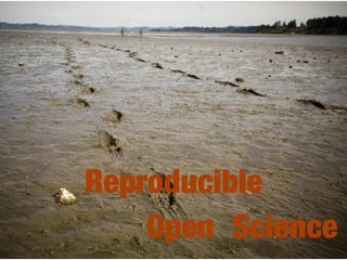 Reproducible
ScienceOpen
 