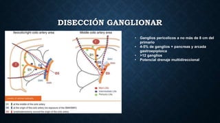 DISECCIÓN GANGLIONAR
• Ganglios pericolicos a no más de 8 cm del
primario
• 4-5% de ganglios + pancreas y arcada
gastroepiploica
• >12 ganglios
• Potencial drenaje multidireccional
 