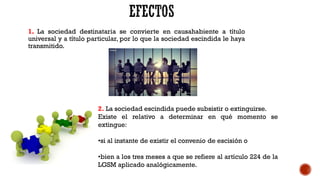 1. La sociedad destinataria se convierte en causahabiente a título
universal y a título particular, por lo que la sociedad escindida le haya
transmitido.
2. La sociedad escindida puede subsistir o extinguirse.
Existe el relativo a determinar en qué momento se
extingue:
•si al instante de existir el convenio de escisión o
•bien a los tres meses a que se refiere al artículo 224 de la
LGSM aplicado analógicamente.
 