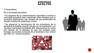 5. Acreedores
De la sociedad escindida:
* Se requiere de su consentimiento específico, cuando la
sociedad escindida fuera sustituida como deudora por la
sociedad destinataria, por tratarse de una sustitución de
deudor (cesión de derechos), o bien,
* Se requerirá la autorización de los acreedores de la
sociedad escindida cuando aunque no se sustituyera a la
deudora (sociedad escindida) ésta disminuyera su activo
por efectos de la escisión, ya que eso pudiera traer
consigo una acción en fraude de acreedores y dar motivo
por ello a la "acción pauliana .
 