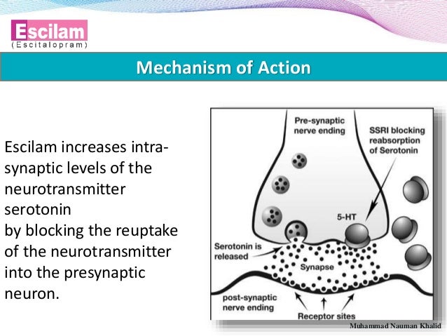 Escitalopram Training