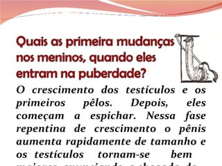 O crescimento dos testículos e os primeiros pêlos. Depois, eles começam a espichar. Nessa fase repentina de crescimento o pênis aumenta rapidamente de tamanho e os testículos  tornam-se  bem  maiores, anunciando  a chegada  da 