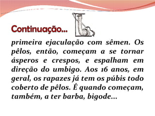 primeira ejaculação com sêmen. Os pêlos, então, começam a se tornar ásperos e crespos, e espalham em direção do umbigo. Aos 16 anos, em geral, os rapazes já tem os púbis todo coberto de pêlos. É quando começam, também, a ter barba, bigode... 